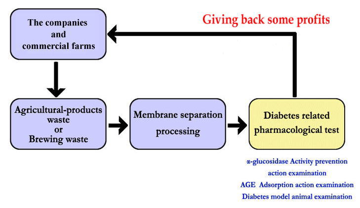 flow:development of diabetes related medical supplies and health food 